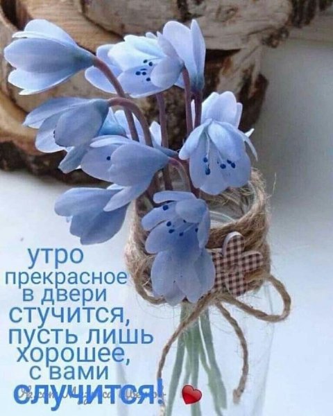   ,    . - 21  2021  23:57 - 6