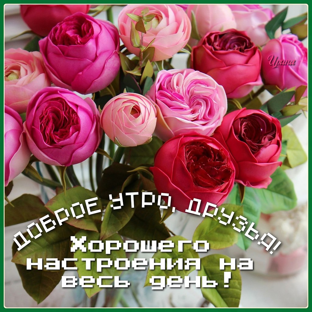  ,    . - 12  2021  11:15 - 8