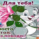 ���� ������, �������� - ��������� 7 ���� 2021 � ������ ���� ����������