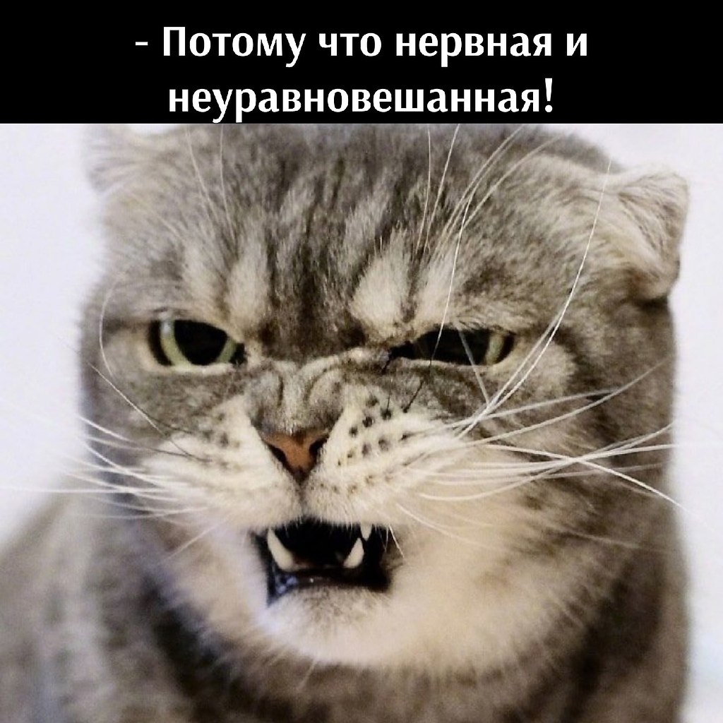       - 24  2021  22:42 - 4