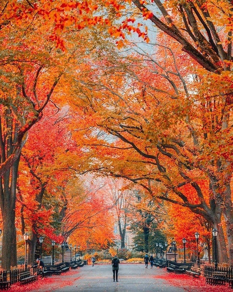 Mp o.  H a6 c cep.  ?  oe  pa - 4