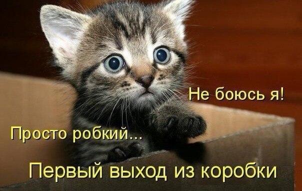    - 19  2021  16:11