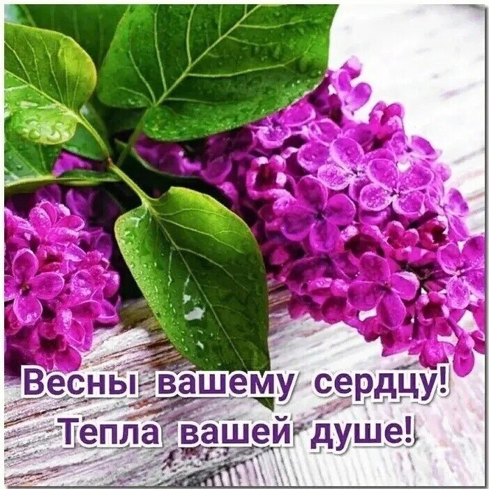   ! - 8  2021  08:47