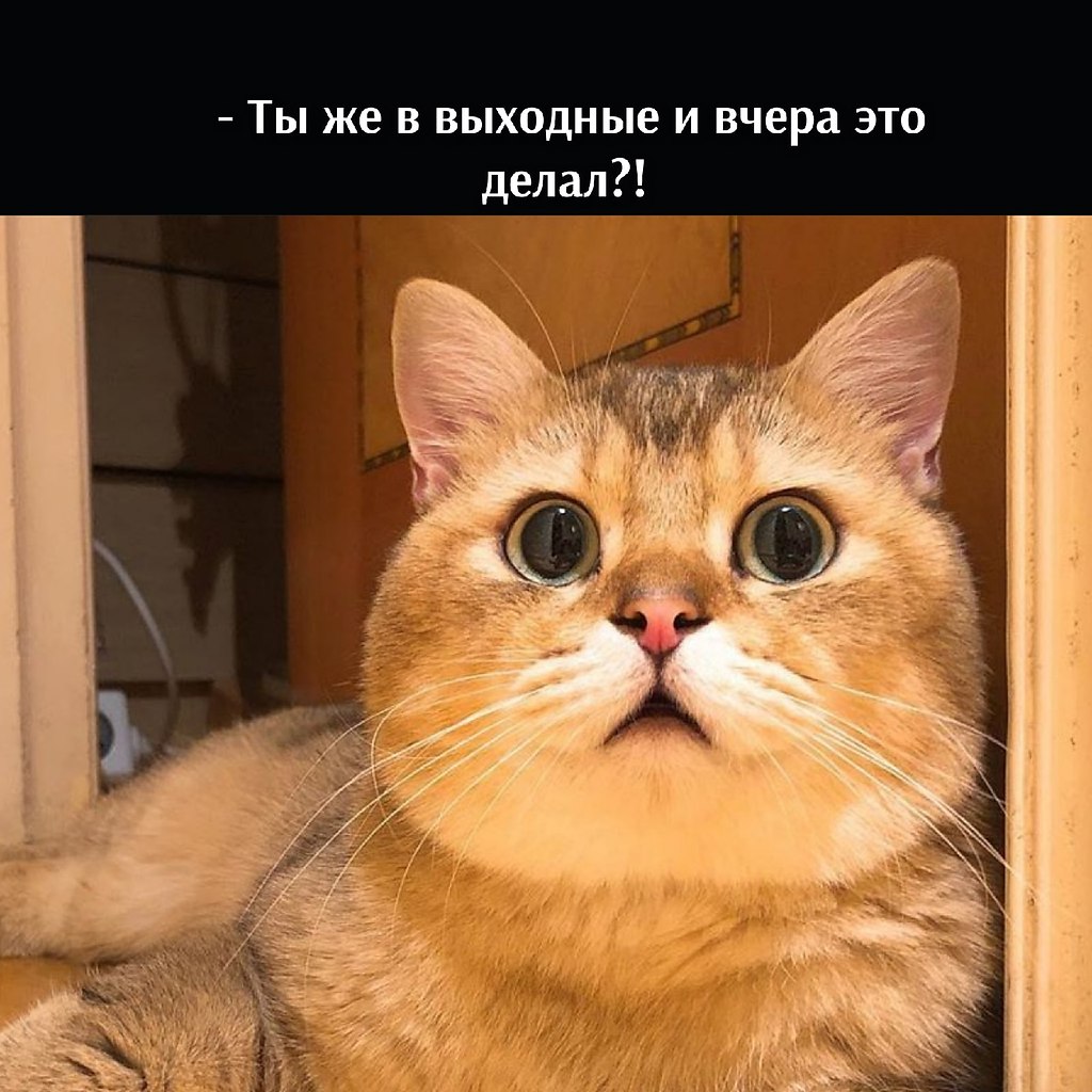       - 14  2021  19:11 - 3