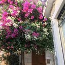 ���� �������, ������ - ��������� 3 ������� 2022 � ������ ���� ����������