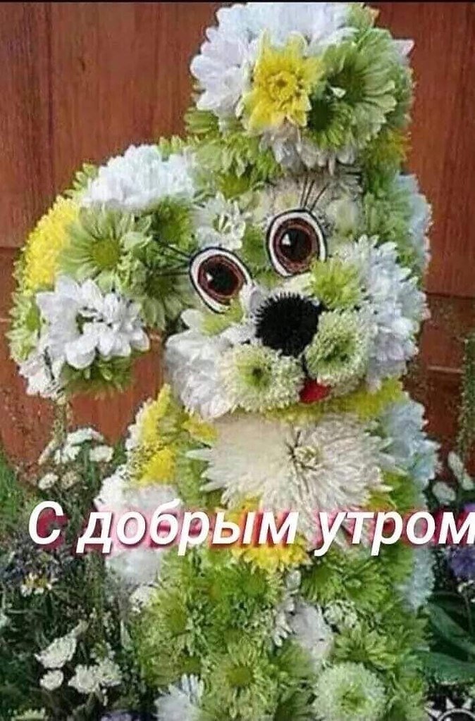   ,    . - 12  2021  23:48 - 4