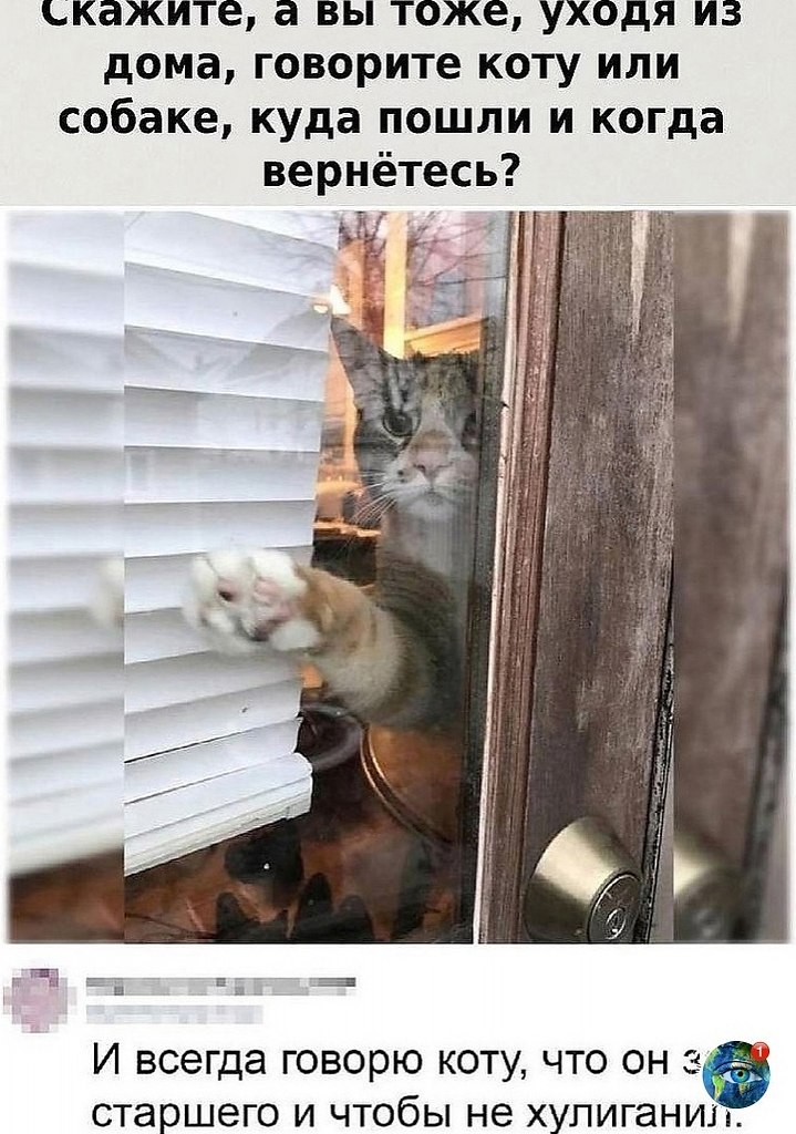 a, o oo  a. animalhappy aea