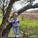 ���� ���, �����, 66 ��� - ��������� 16 �������� 2021 � ������ ���������� ������