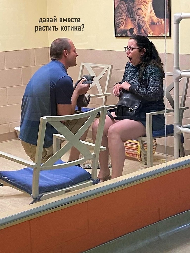     . ,      :