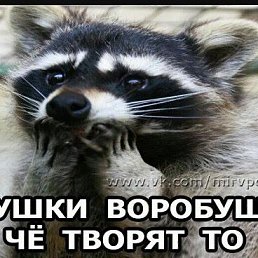 ��������, ������, 44 ����