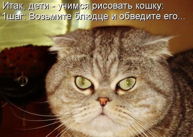    - 26  2021  02:38