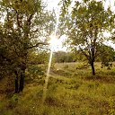 ���� �������, ��������, 50 ��� - ��������� 31 ���� 2021 � ������ ���� ����������