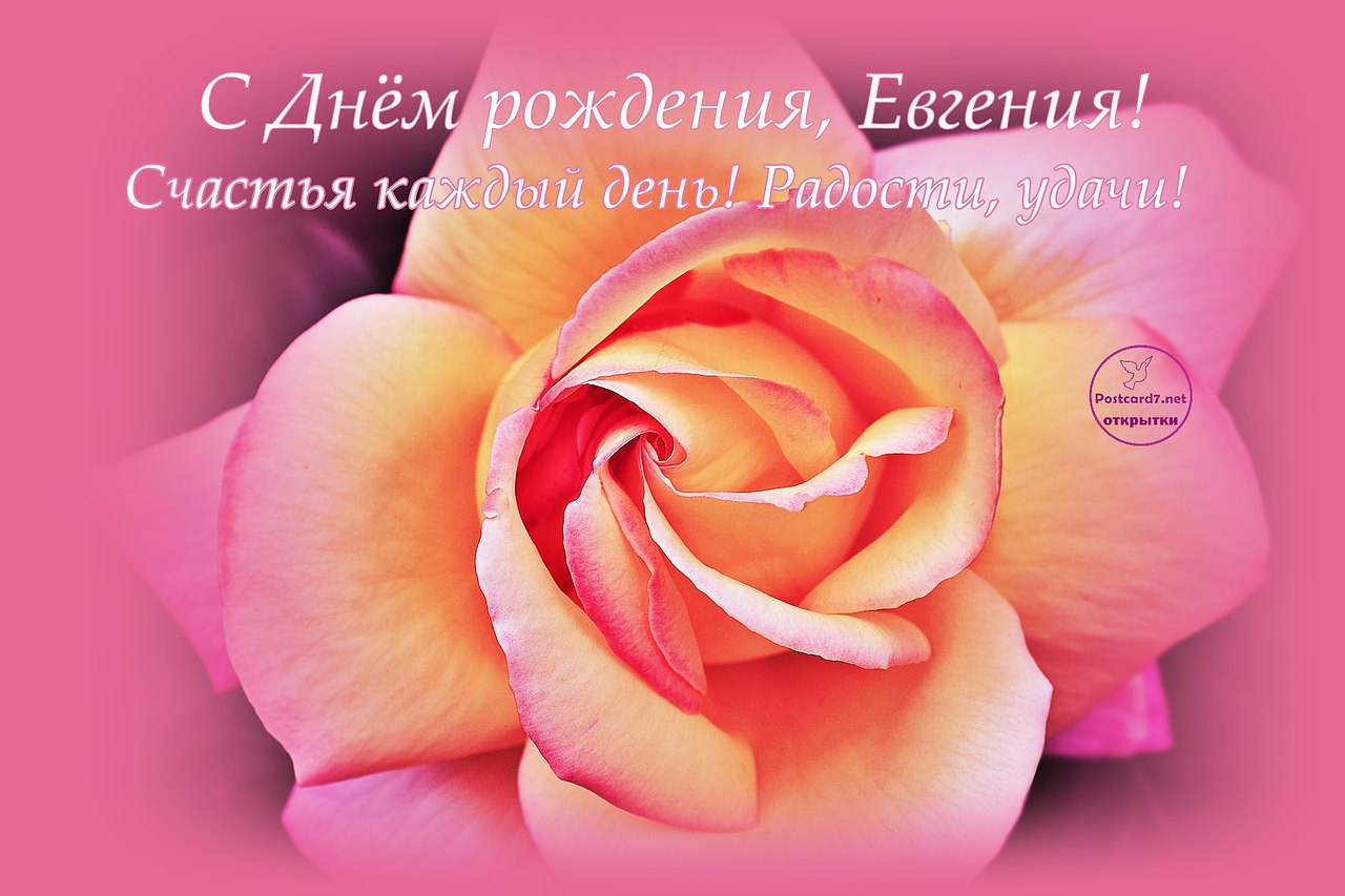   ,    . - 30  2021  11:06 - 6