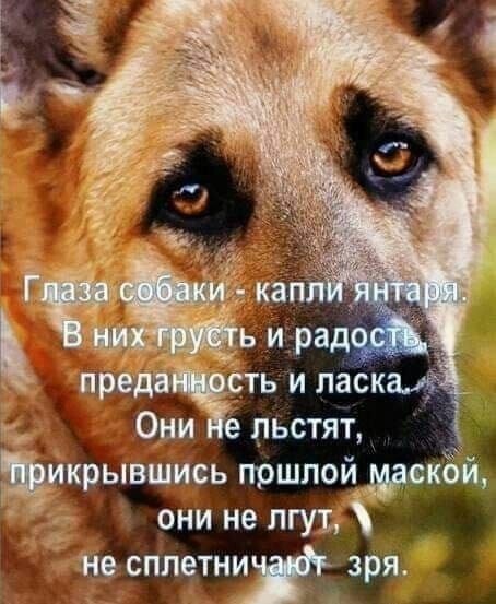 Когда умирают люди, они пишут завещание, чтобы свои дом и все, что они имеют, оставить тем, кого они ...