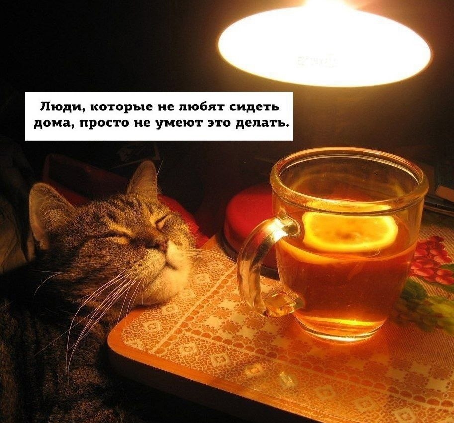   .     ! 