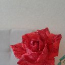 ���� �����, ������ �������� - ��������� 4 ������ 2021 � ������ ���� ����������