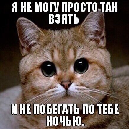    - 12  2021  03:17