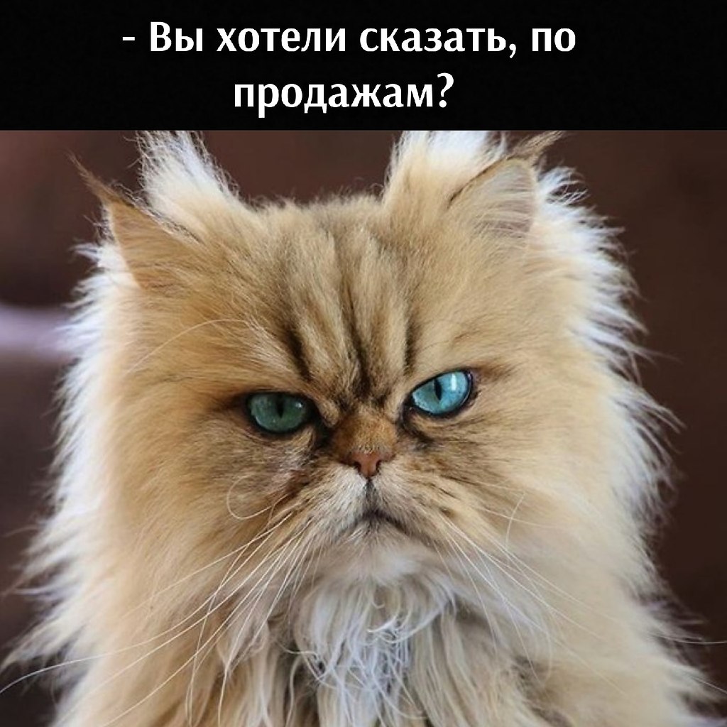       - 23  2021  21:30 - 2