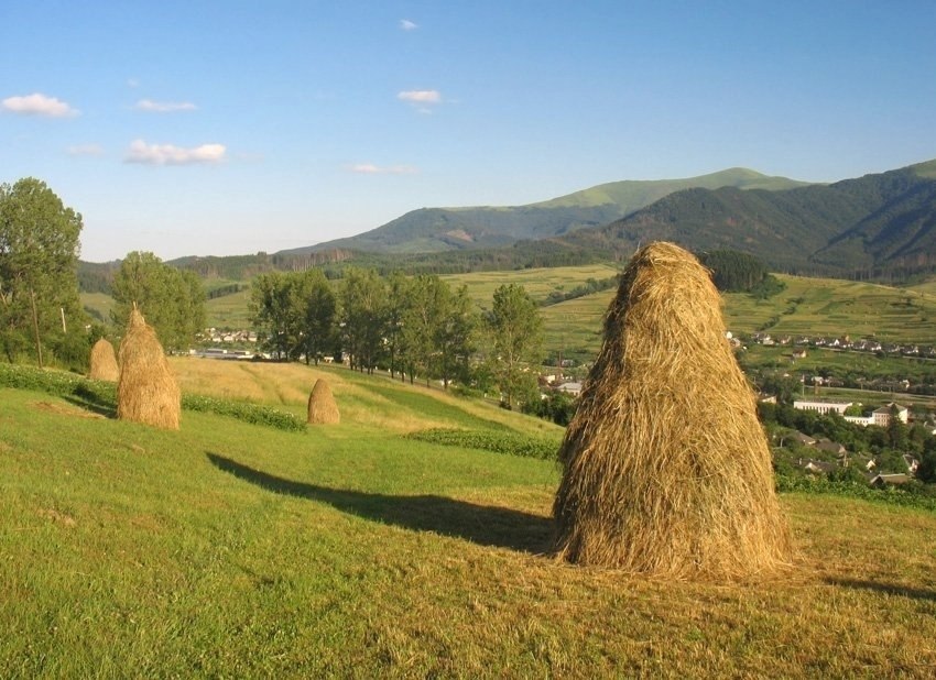 Омет. Скирда сноп. Скирда фото. Скирда омёт копна.