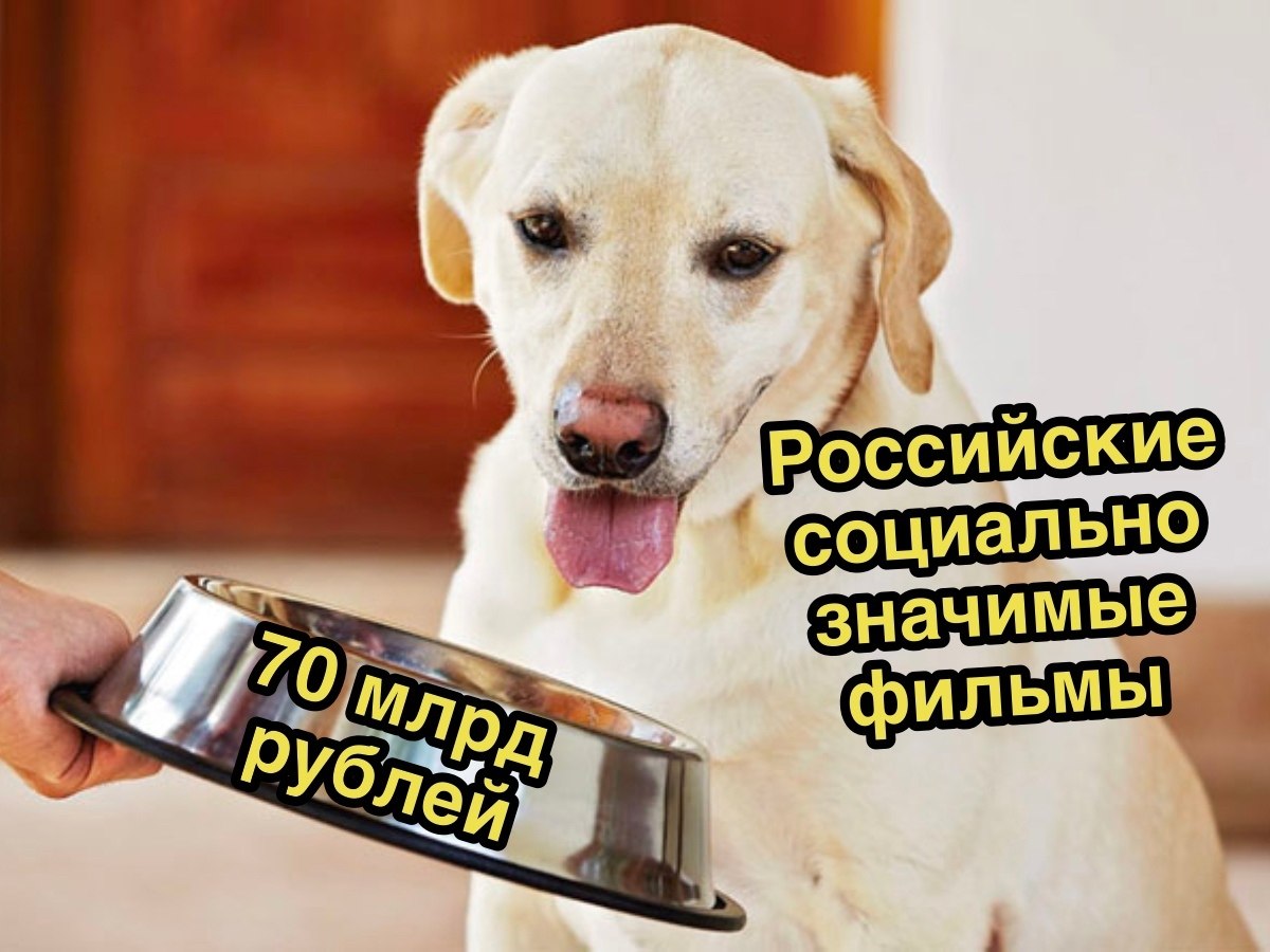   - 7  2021  13:38