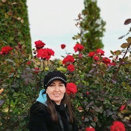 , 51, 