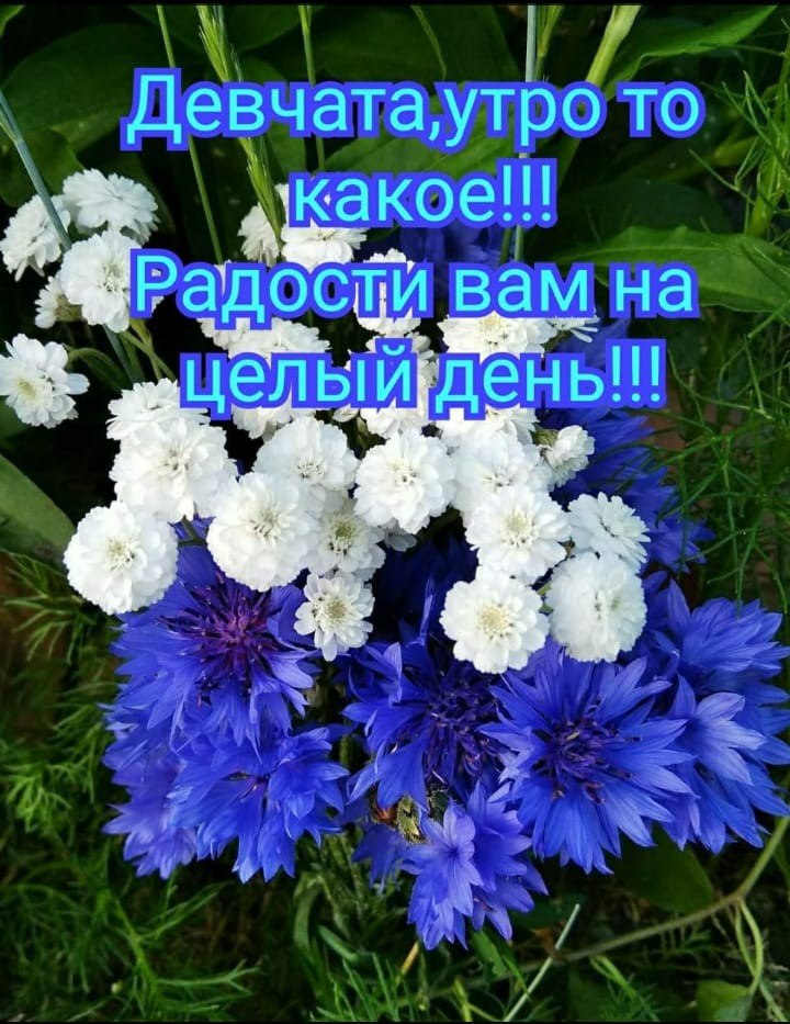   ,    . - 1  2021  22:01 - 3