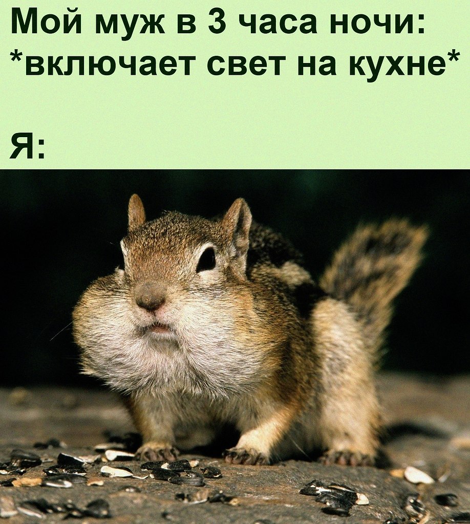   :D - 20  2022  18:33