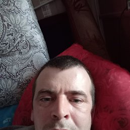 , 40, 