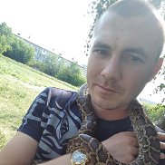 , 35 , 