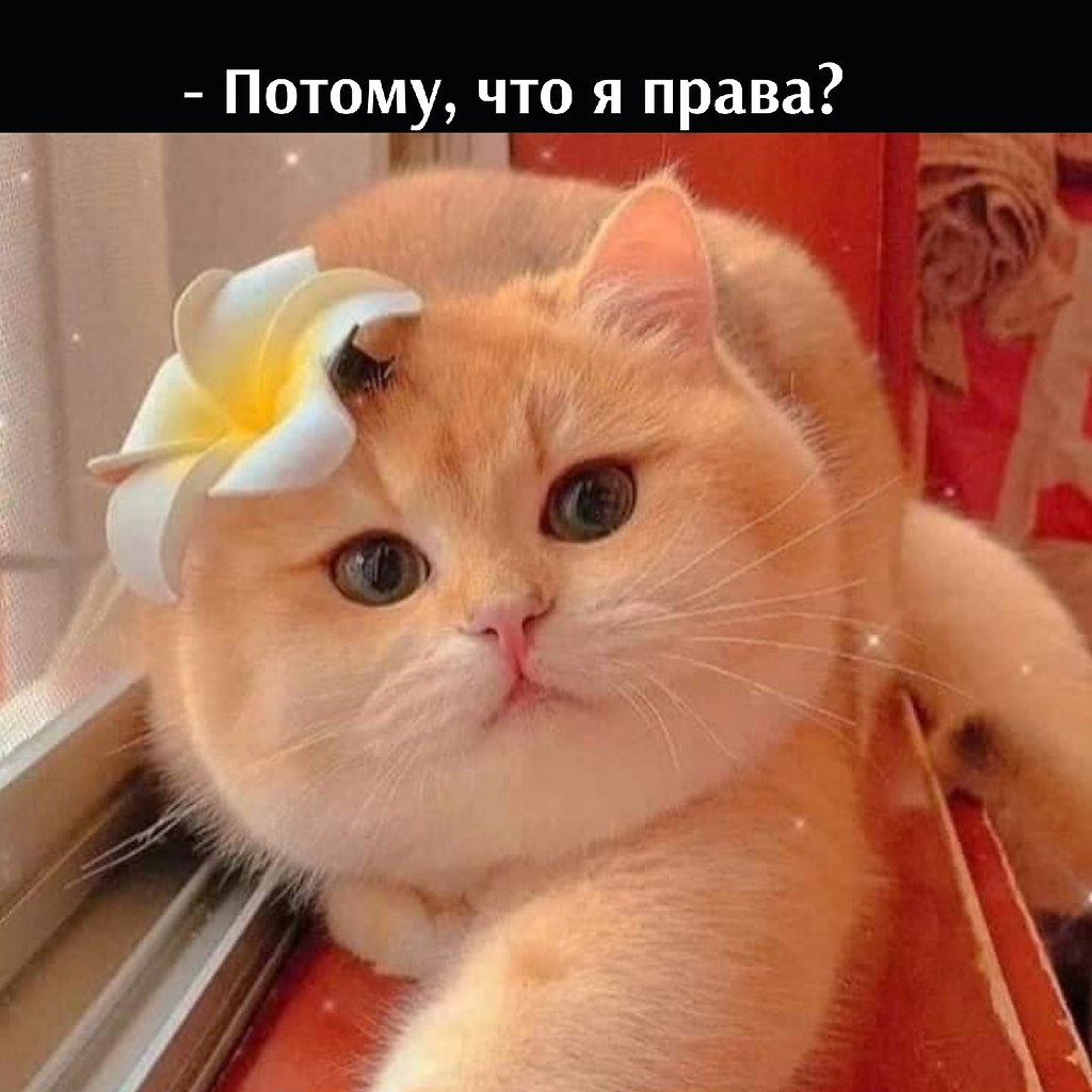       - 18  2021  16:26 - 2