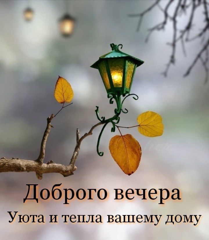   ,    . - 9  2021  18:51