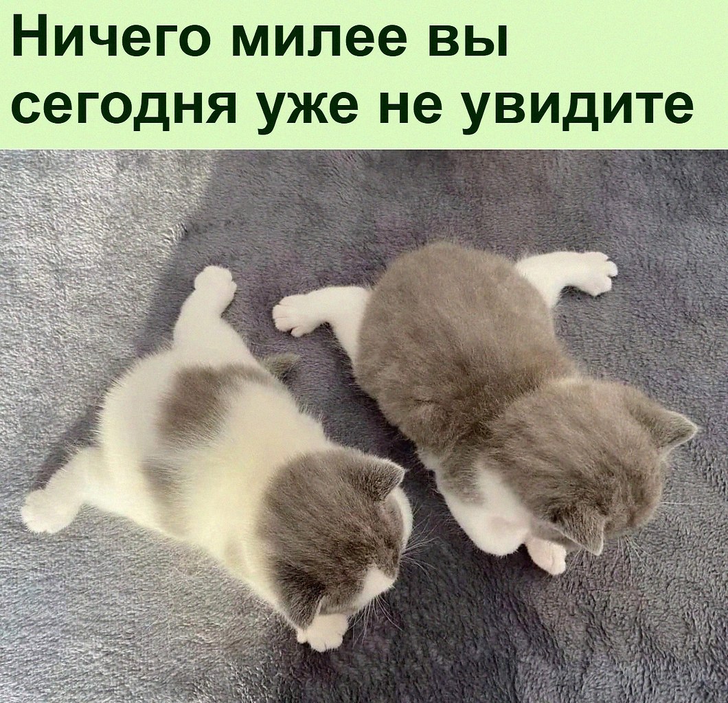   :D - 29  2022  06:33