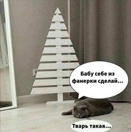    ..  !!!))