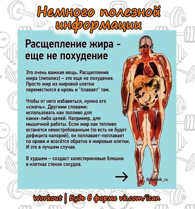 Workout |    - 26  2021  00:22 - 5
