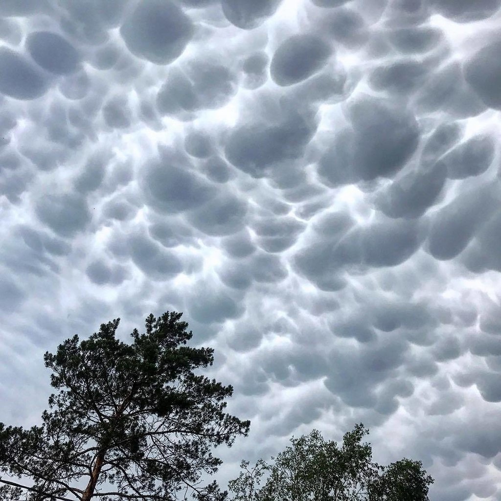    ( mammatus cloud)   . - 3