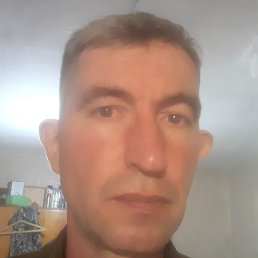, , 51 