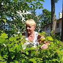 � ���� � ������� -������ ����� ������� �� ������� ���� ����������