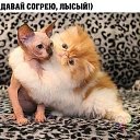 ���� ������, ������-��-����, 50 ��� - ��������� 9 ���� 2021 � ������ ���� ����������