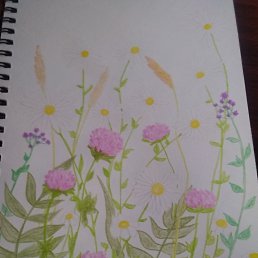 ���� �����, �����������, 32 ���� - ��������� 10 ������ 2021