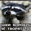 ���� ��������, ������, 44 ���� - ��������� 10 ������ 2021 � ������ ���� ����������