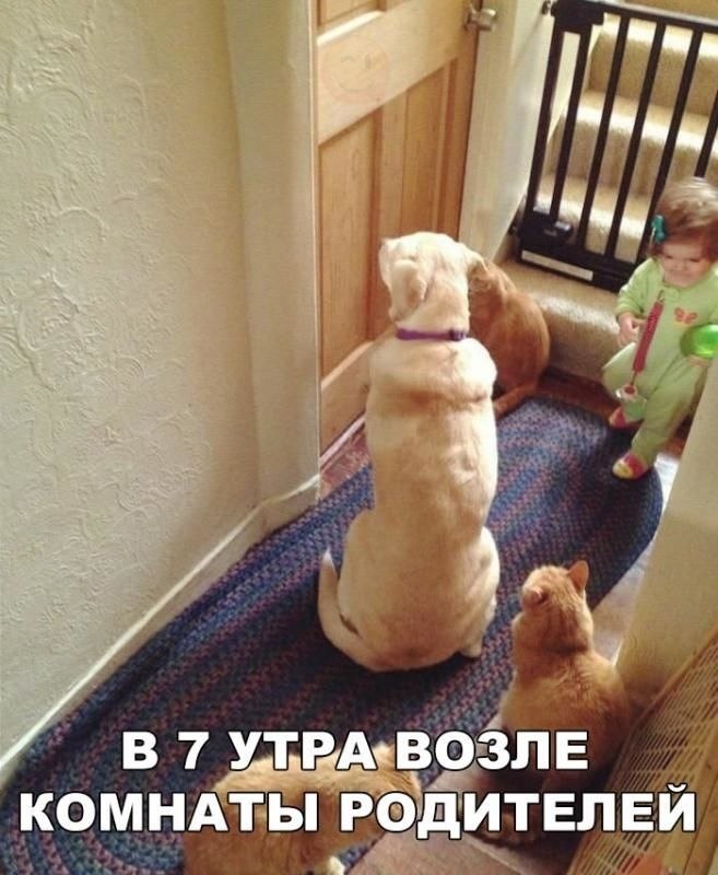    - 22  2021  03:44