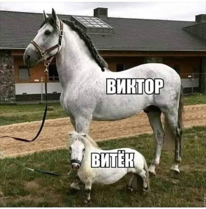 , -     ,  .  ...