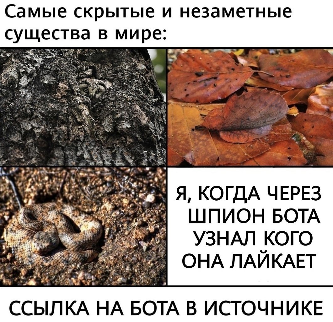   - 6  2021  06:10