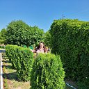 ���� �������, ��������, 51 ��� - ��������� 31 ������� 2021