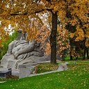 ���� �����, ���������, 67 ��� - ��������� 17 ������� 2021 � ������ ������ �� �������� �������.�