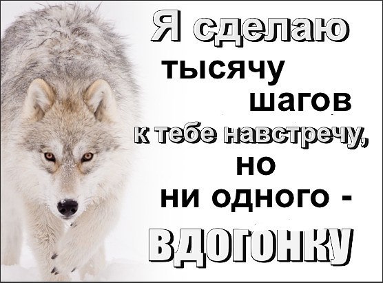 ������� ������ - 1 ������ 2021 � 19:18