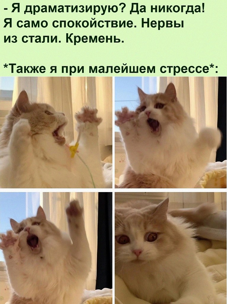   :D - 2  2022  14:47