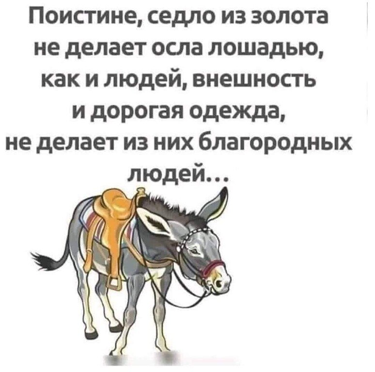  - 10  2021  20:13
