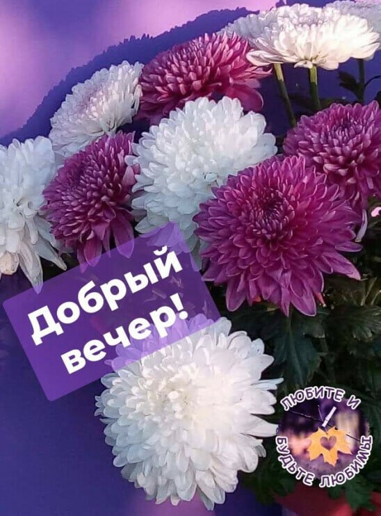   ,    . - 3  2021  16:43