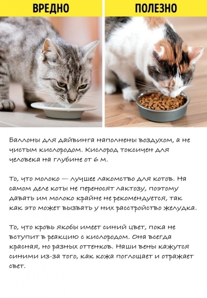 ,     ! - 4